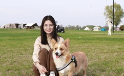 linodeiphone国产线